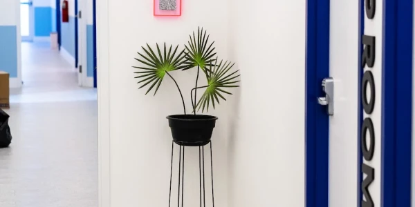 Daylight Recovery Center